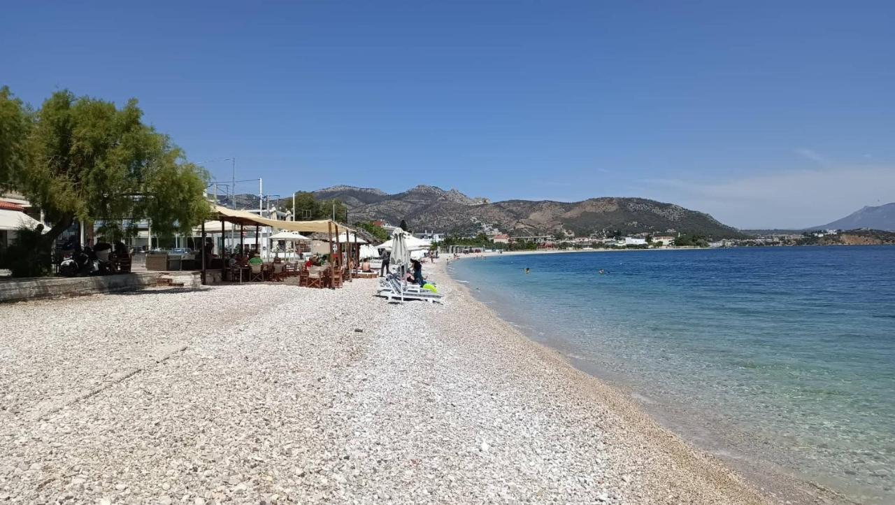 Апартаменты Alexadra'S House Κάτω Αλμυρή Экстерьер фото